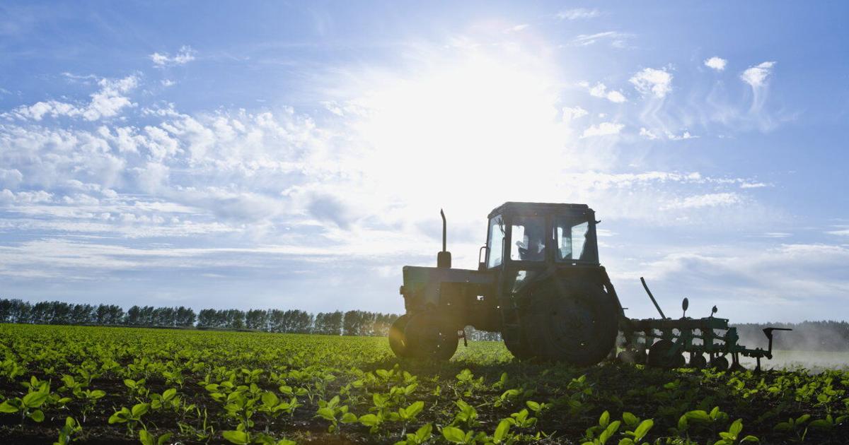 Farming Rell Lessons in Handing the Farming Reins to the Next Generation [Opinion ...