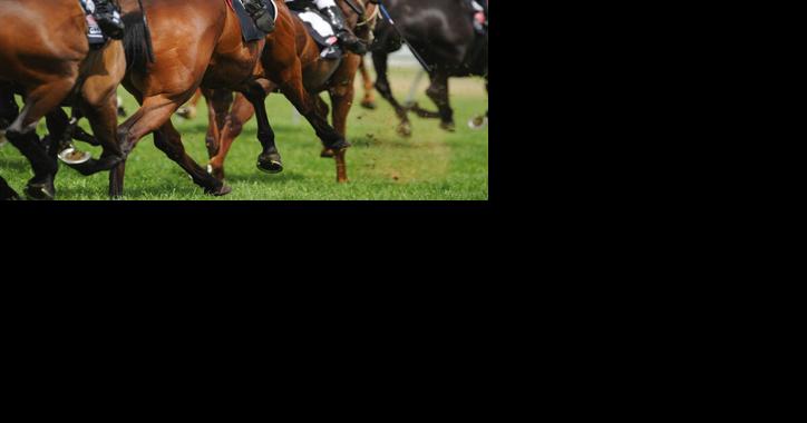 National Veterinarian's Group Release Safety Recommendations for Thoroughbred Racing - Vimarsana News