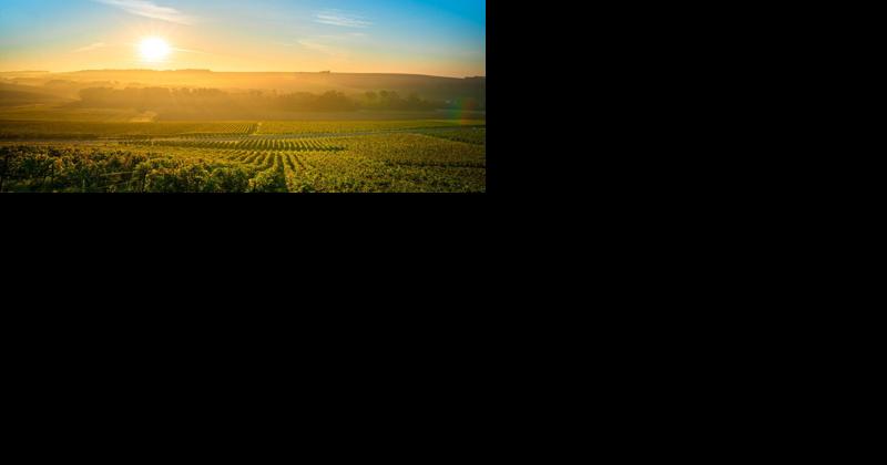 God Blesses Us Every Day - Vimarsana News