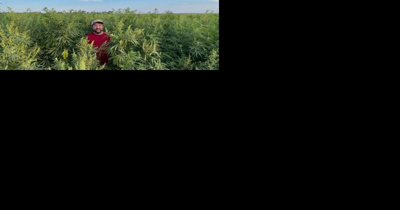 Lancaster Farming Industrial Hemp Podcast: Introduction to Season Two - Vimarsana News
