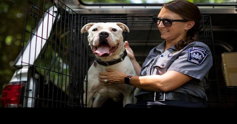 Vogel Has Plan to Modernize Pennsylvania’s Strained Dog Law Bureau