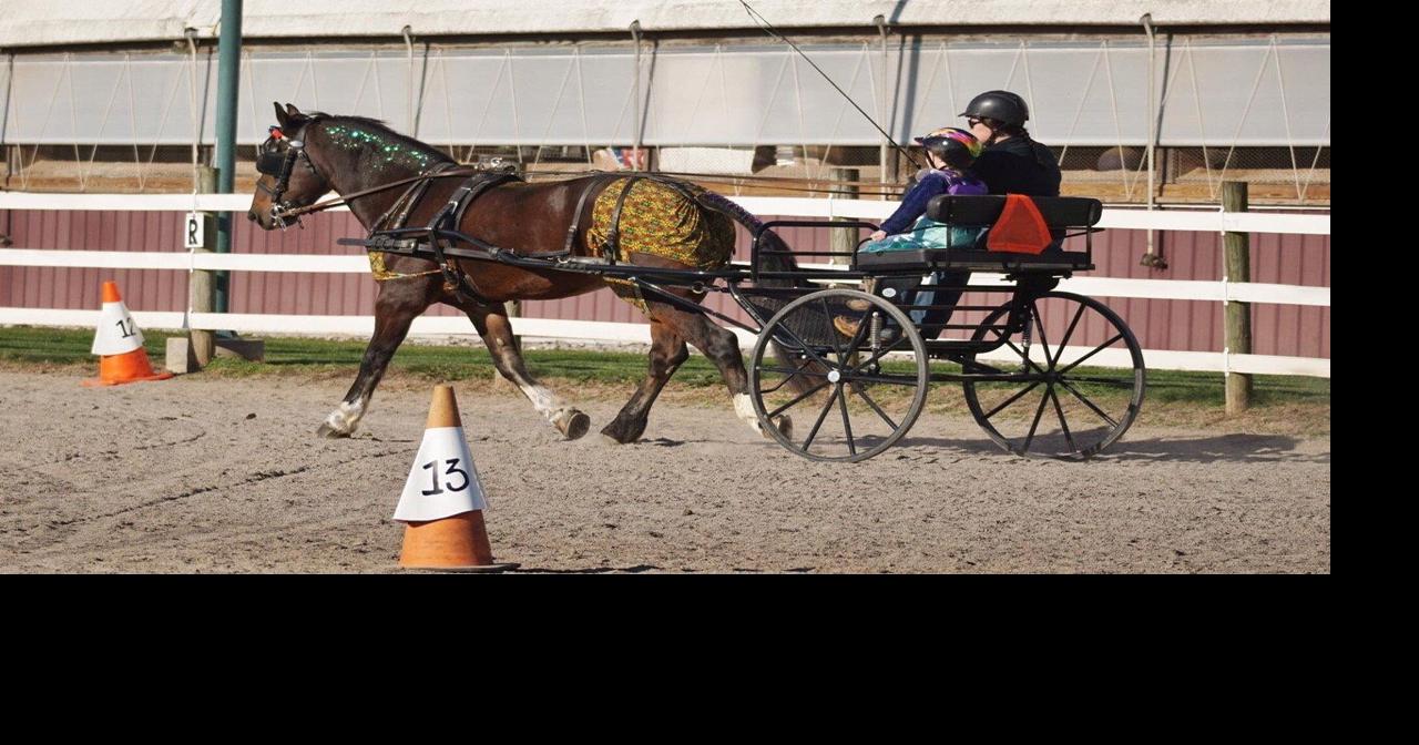 Horse Riders' Halloween Show Is a Treat for All Riding Levels and ...