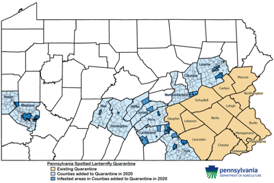 12 Counties Added To Lanternfly Quarantine Lancasterfarming Com