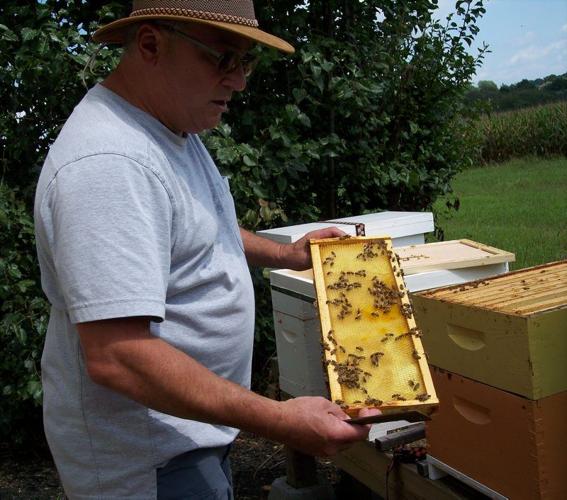 Beekeeper Mentorship (2 season package) – Bare Honey