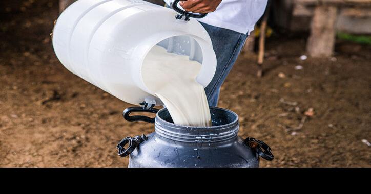 Raw Milk Thrives as Pet Food in Some States | Dairy News