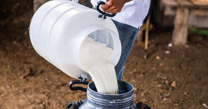 Raw Milk Thrives as Pet Food in Some States | Dairy News Raw Milk Thrives as Pet Food in Some States | Dairy News