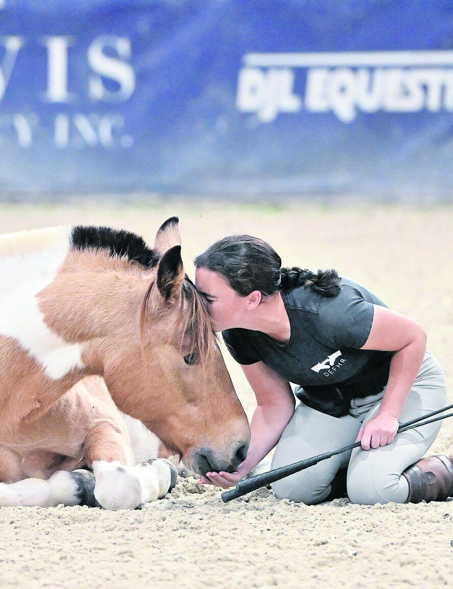 Welcome to Zillow’s World: Remarkable Rescue Horse Goes From Shut-In to ...