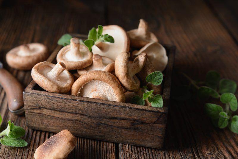 Make It With Mushrooms