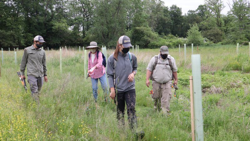 Volunteer Riparian Rangers Check on Newly Planted Buffer in Lancaster  County | Farming and Agricultural News | lancasterfarming.com
