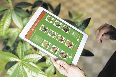 App helps assess plant disease severity | Farm Equipment Vehicles & Ag Tech  News | lancasterfarming.com