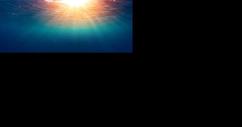 The Story of Jonah and the Whale, Part One | Farm and Rural Family Life - Vimarsana News