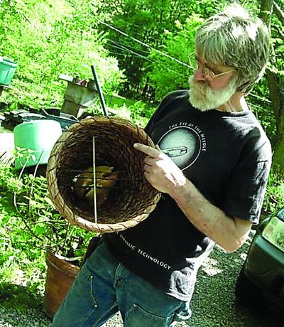 The Bee Philosopher New York Beekeeper Provides Sanctuary for Bees ...