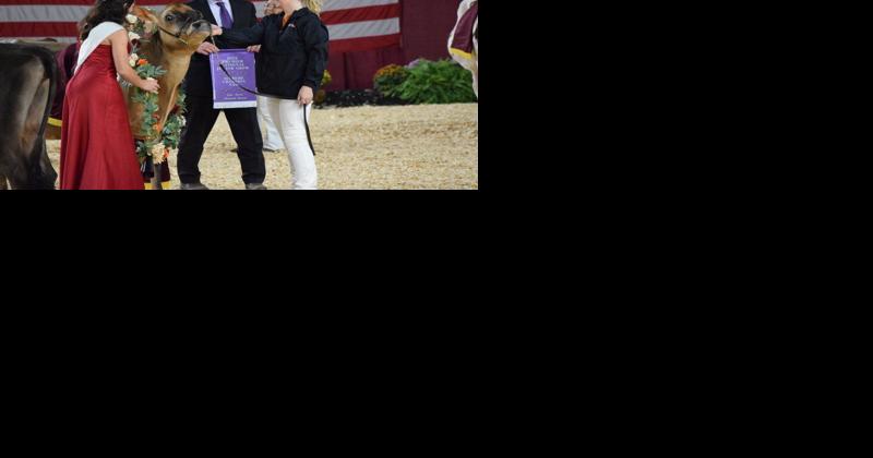 Jerseys Sweep All-American Dairy Show Junior Supreme Pageant - Vimarsana News