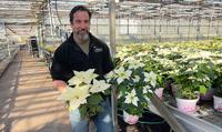 New Jersey Greenhouse Keeps Christmas Growing With Poinsettias