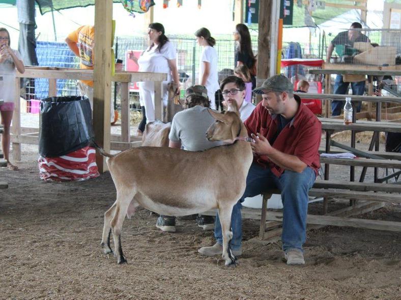 Farm Family Misses Going to Fairs, Shows, But Keeps Up With Training Nonetheless - Vimarsana News