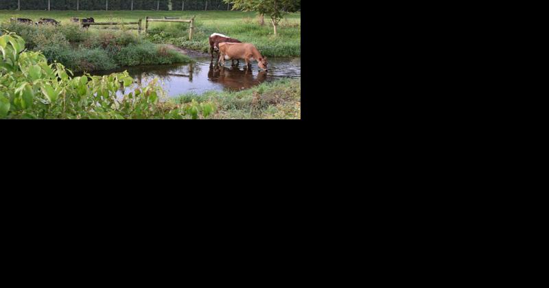 EPA Steps Up Inspections of Pennsylvania Farms - Vimarsana News