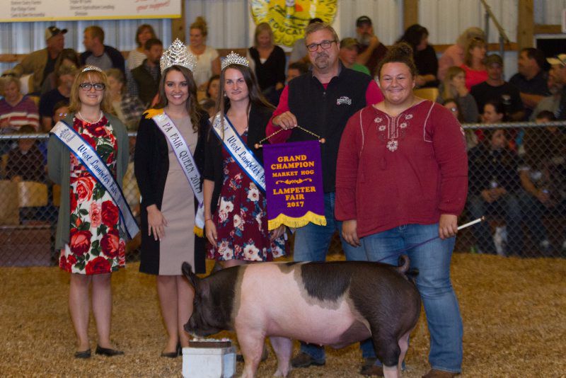 Sale Garners 211,650 for Lampeter Youth Farm Shows & County Fairs