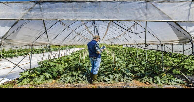 Agricultural Business Development Center Supports Pennsylvania Farmers | Main Edition