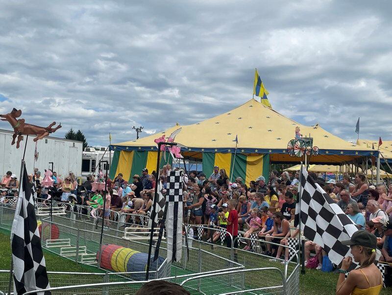New Jersey County Fairs and Shows Guide 2023 Dates and Official