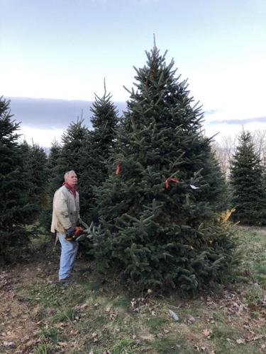 Christmas Tree Farm Owner Pays It Forward by Mentoring Neighboring Tree ...