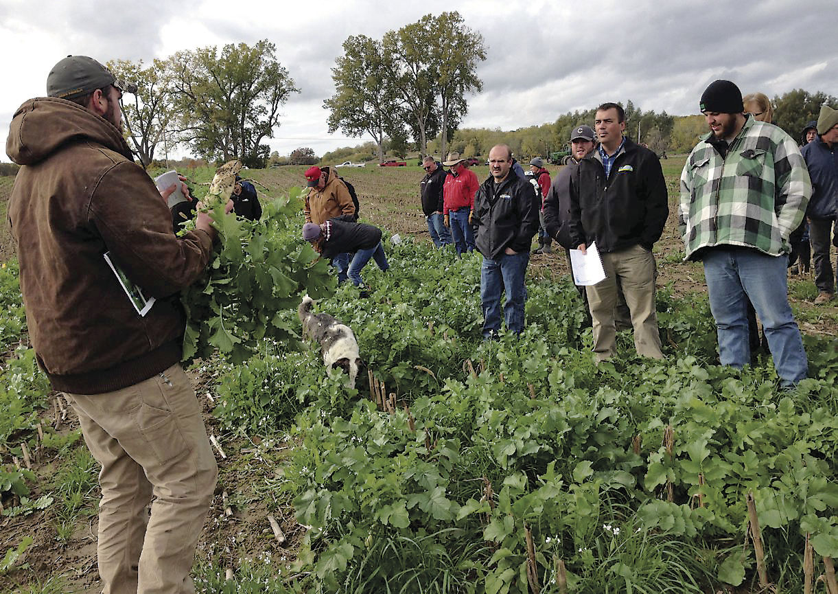 Western New York Farmers Hear About Cover Crop Research | Northern ...