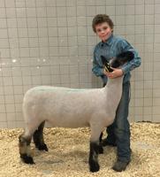 Juniata Teen Isn’t Sheepish About His Goals for Pennsylvania Farm Show