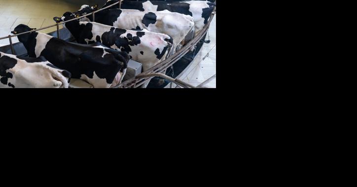 Lancaster Farming's Phil Gruber Talks Pennsylvania Milk Pricing With WITF | Dairy News - Vimarsana News