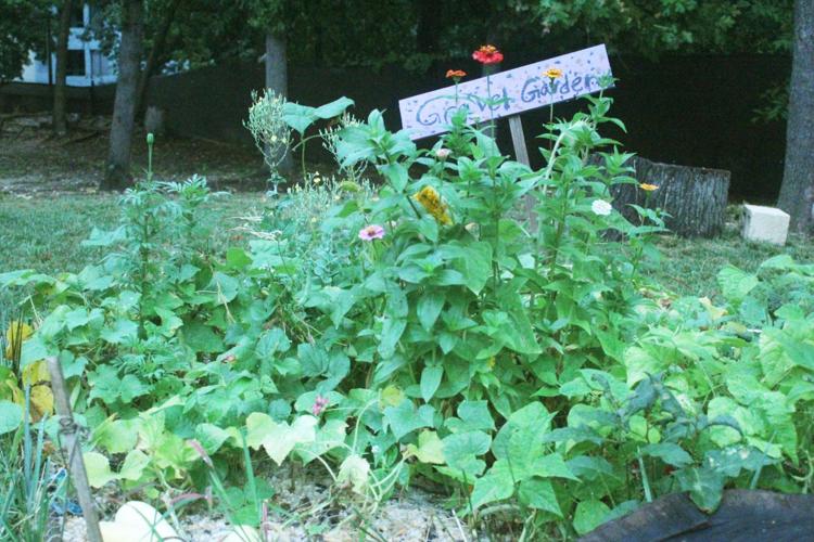 Vegetables and Flowers Grow in Gravel