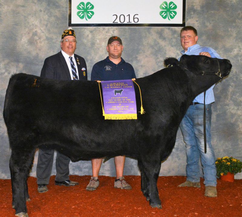 Cambria Youth Livestock Sale Brings In 185,000 Farm Shows & County