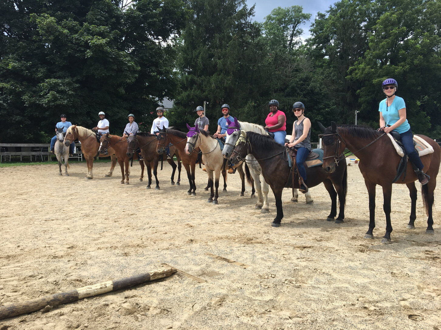 A Multifaceted Equine B&B In Maryland | Farm And Rural Family Life ...