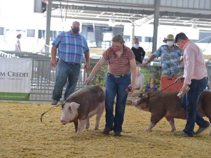 Fairs Look to Roar Back After Pandemic Cancelations in 2020 - Vimarsana News
