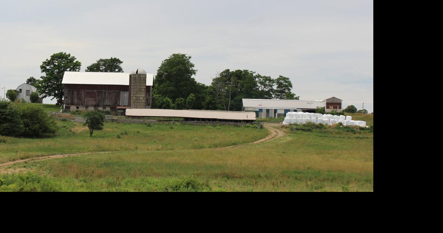 Pasture-Raised Meat CSA Emphasizes Condition, Service, Appearance ...