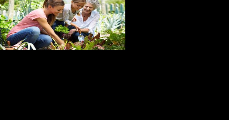 Caring for Both Kids and Aging Parents? You're Part of the Sandwich Generation - Vimarsana News
