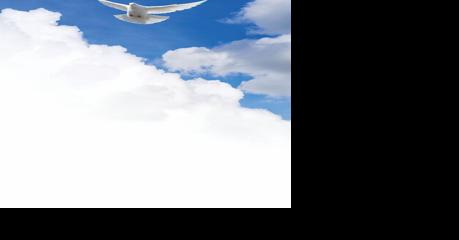 Biblical Promises We Can Live By Today - Vimarsana News