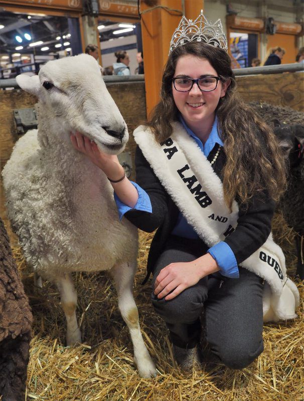 Montour County Team Claims Narrow Victory in 39th Sheep to Shawl ...