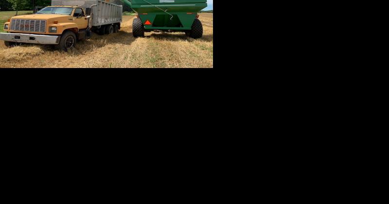 Virginia Farmers Get More Support for Winter Cover Crops - Vimarsana News