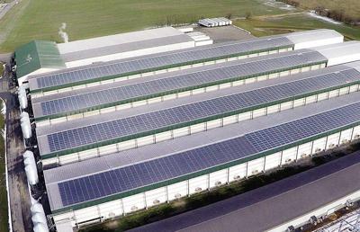 Kreider Farms Adds Solar Panels To Chicken Houses Poultry Industry News Lancasterfarming Com