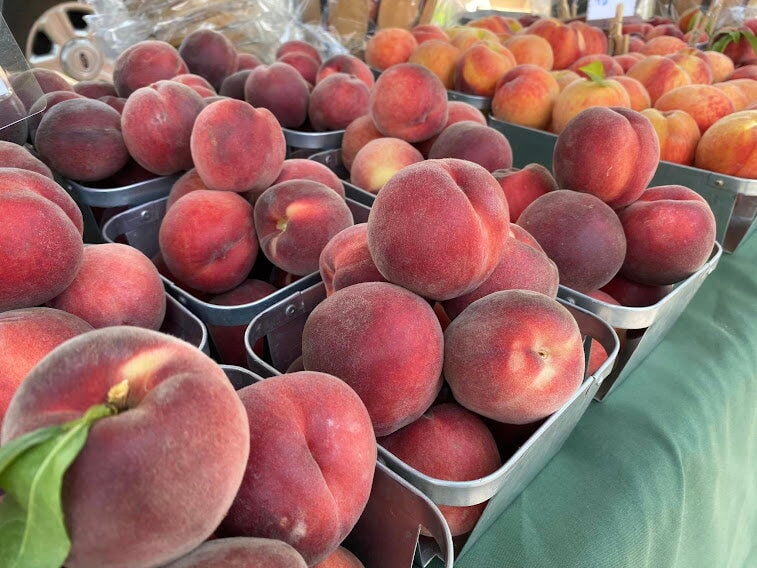 Bringing Scientific, Holistic Approach to 80-Year-Old Fruit Farm