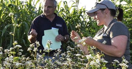 583 tobacco farm way May 31st World Understanding Farming Day 676 Tobacco Farm Way, Chapel