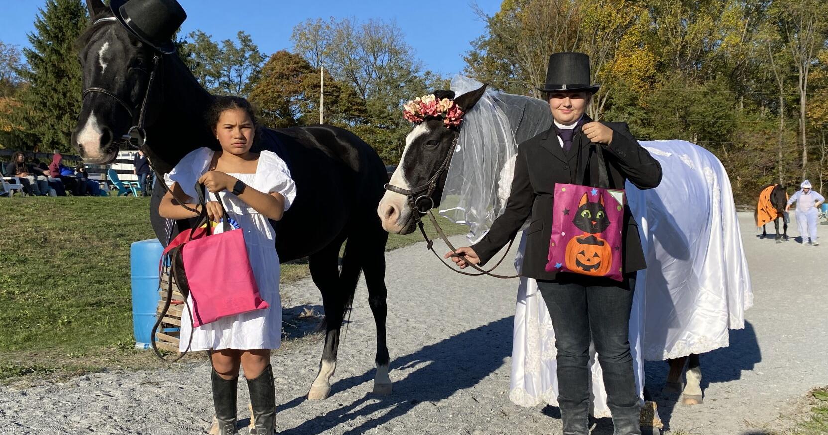 Harvest View Stables Provides Horse Riding Lessons | Horse News and Equine Events - Vimarsana News