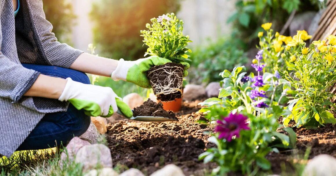 10 Gardening Hacks for Gardeners on a Budget | Gardening Tips and How-To Garden Guides