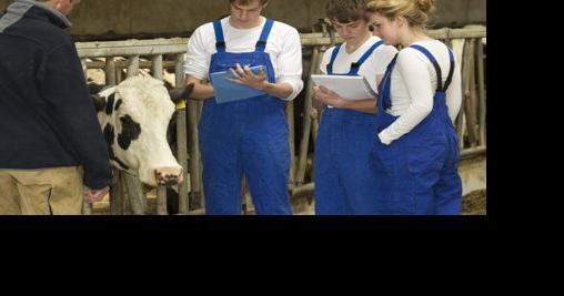 Managing Feed Costs and Milk Production for Financial Stability on Dairy Farms - Vimarsana News