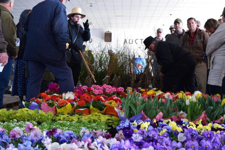 Weaverland Produce Auction Opening Day 2018