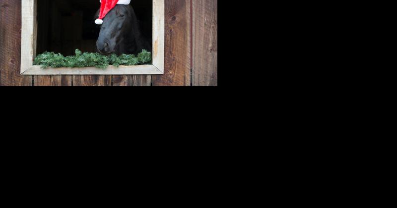How Familiar Are You With These Christmas Legends? - Vimarsana News