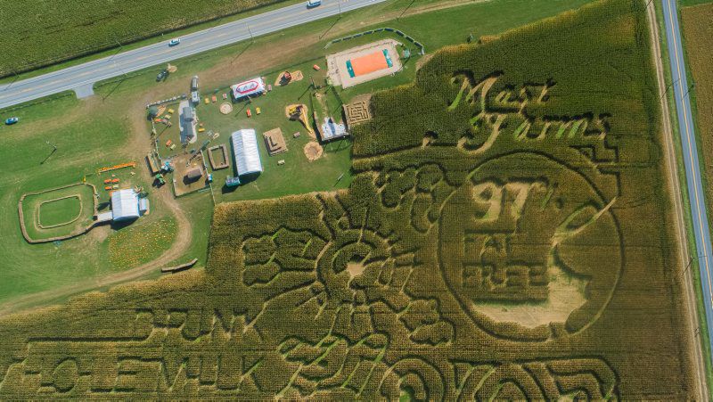 Morgantown Maze Promotes Whole Milk | News | lancasterfarming.com