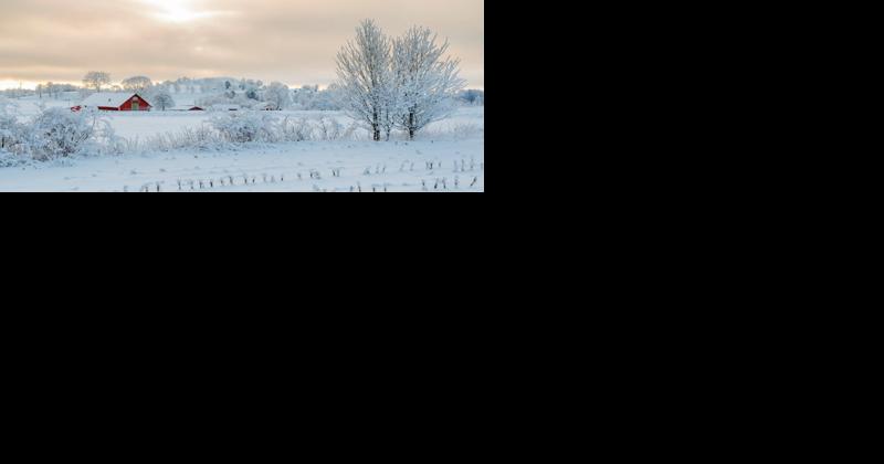 Lessons From the Ukraine on Persisting in Difficult Weather - Vimarsana News