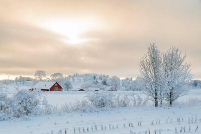 Snow winter barn field