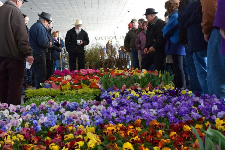 Weaverland Produce Auction Opening Day 2018