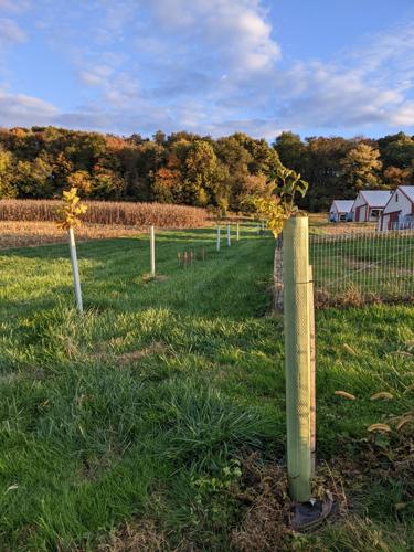 Perdue Partners With Alliance for Chesapeake Bay on Conservation 