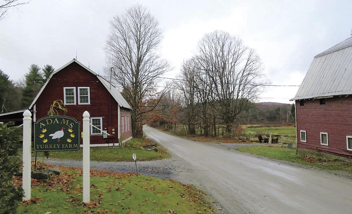 Adams Turkey Farm Diversifies To Grow The Heart Of The Farm Is